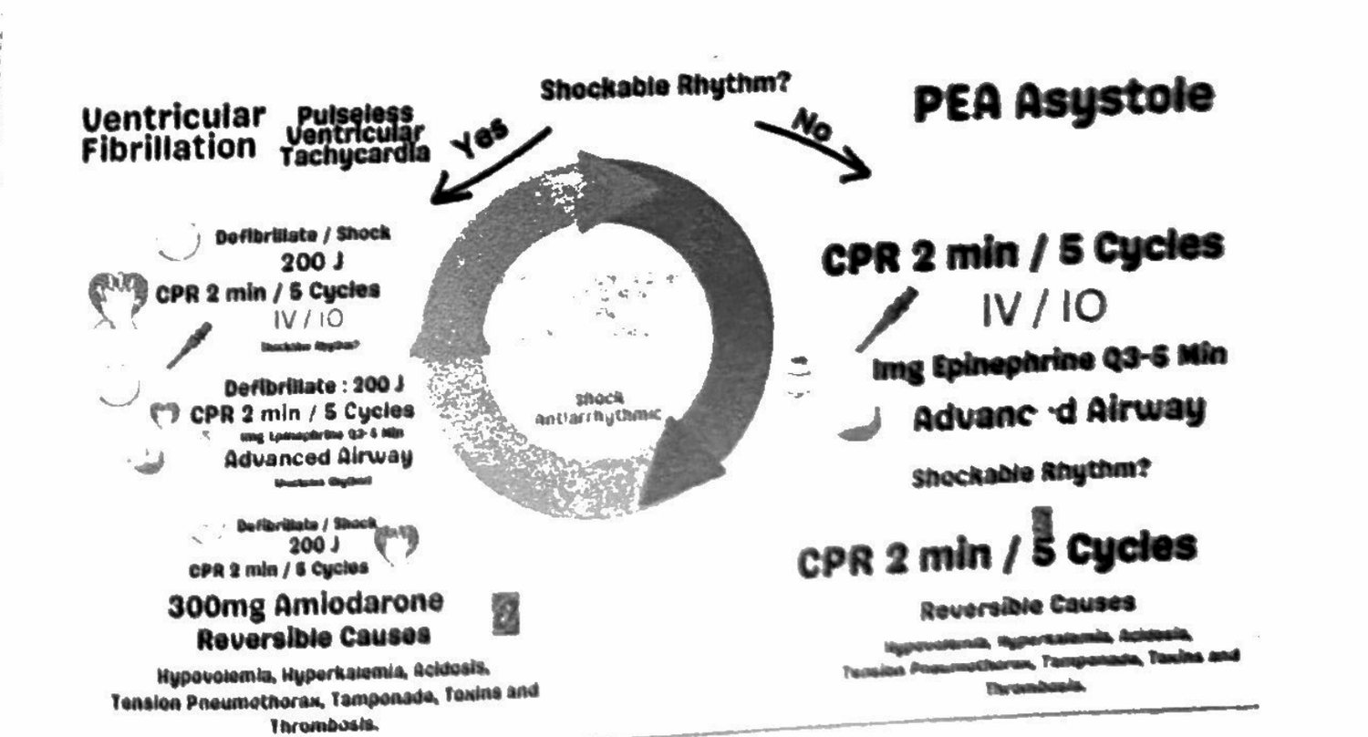 Two arms of the cardiac arrest algorithm — VF and pulseless VT on one side, PEA and asystole on the other — around a two-minute CPR cycle.